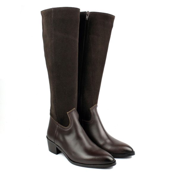 AVA-CS-MARRON_A AVA-CS-MARRON_A