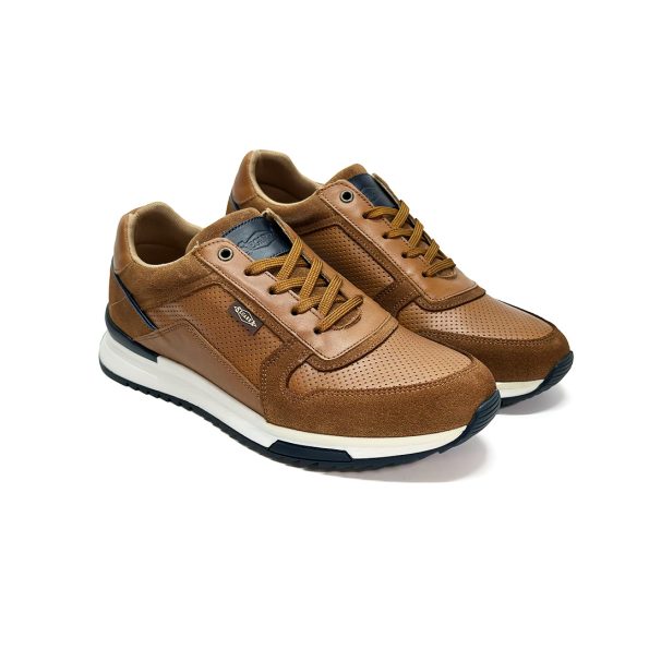 Bruno-marron-2 Bruno-marron-2