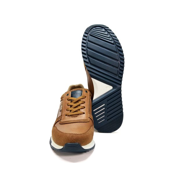 Bruno-marron-5 Bruno-marron-5