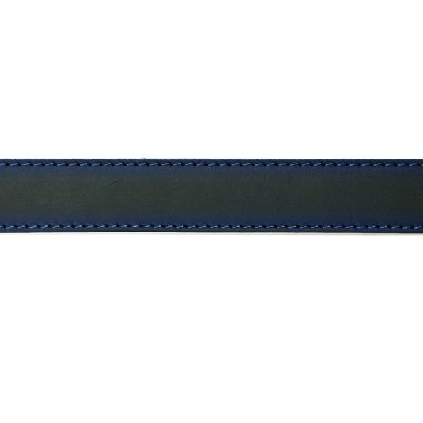 polpo-azul-3