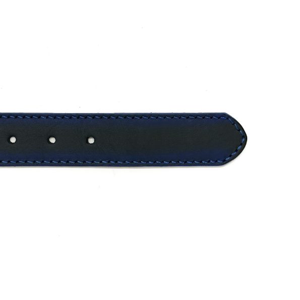 polpo-azul-4