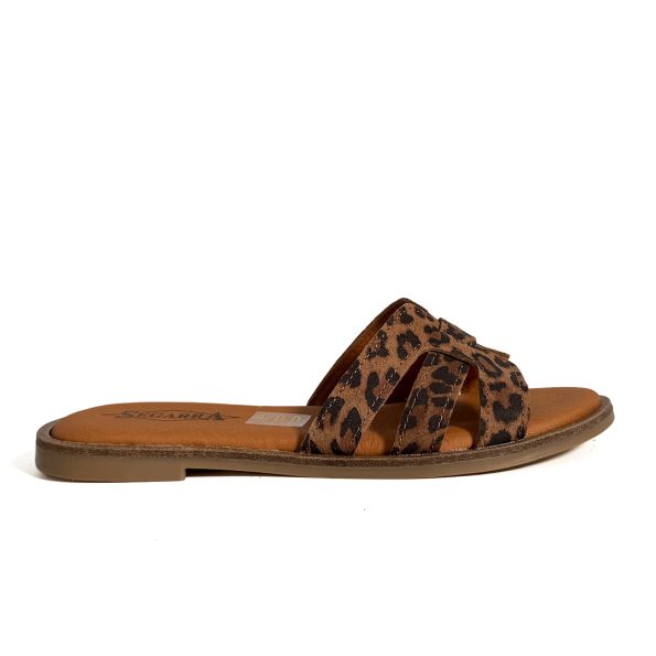 26006_LEOPARDO_1