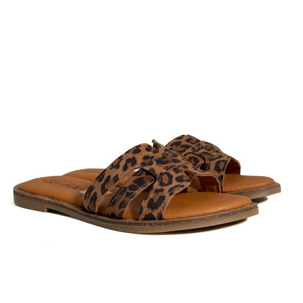 26006_LEOPARDO_2